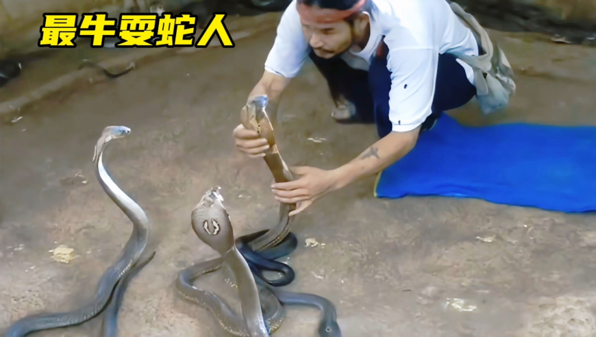 2O24管家婆四码四肖资料,狄仁杰牡丹皮肤玩法攻略,完美答案解释落实_iPadV10.100