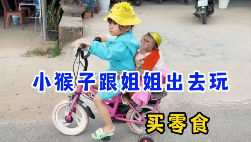 柯南情人节杀人事件,新奥门2025资料大全管家婆,创造力策略实施推广_体验版V9.22